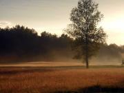 Kliknij, aby powi�kszy�