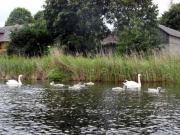 Kliknij, aby powi�kszy�