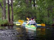 Kliknij, aby powi�kszy�